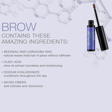 Scalisi Brow Treatment